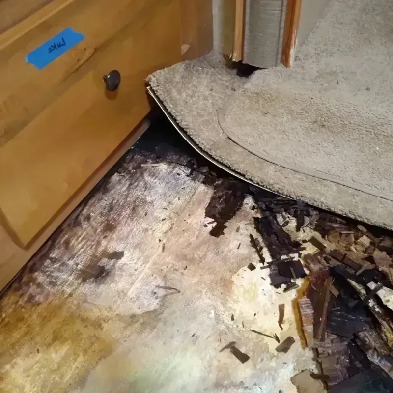 Wood Floor Water Damage in Elida, OH